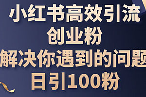 【第10539期】小红书高效引流创业粉,解决你遇到的问题,日引100粉