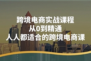【第10736期】跨境电商实战课程:从0到精通,人人都适合的跨境电商课