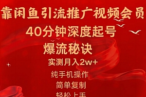 【第10520期】闲鱼暴力引流推广视频会员,能做到日入2W+,操作简单
