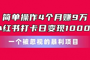 【第10630期】简单操作4个月赚9万!小红书打卡日变现1000+