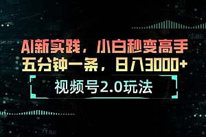 【第10527期】视频号2.0玩法 AI新实践,小白秒变高手五分钟一条,日入3000+