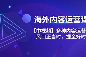 【第10486期】海外内容 运营课【中视频】多种内容运营玩法 风口正当时 掘金好时机-101节