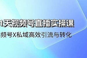 【第10588期】21天-视频号直播实操课,视频号X私域高效引流与转化(22节课)