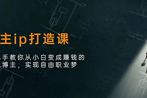 【第10680期】博主ip打造课:手把手教你从小白变成赚钱的创业博主,实现自由职业梦