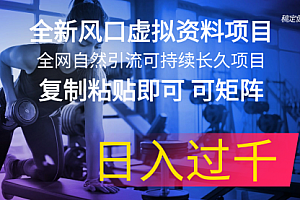 【第10975期】全新风口虚拟资料项目 全网自然引流可持续长久项目