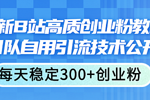 【第11034期】最新B站高质创业粉教程,团队自用引流技术公开,每天稳定300+创业粉