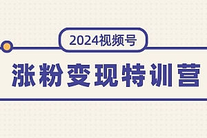 【第11112期】2024视频号-涨粉变现特训营:一站式打造稳定视频号涨粉变现模式