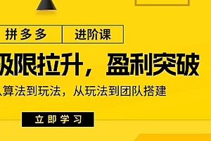 【第10893期】拼多多·进阶课:极限拉升/盈利突破:从算法到玩法 从玩法到团队搭建