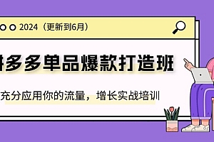 【第10971期】2024拼多多-单品爆款打造班(更新6月),充分应用你的流量,增长实战培训