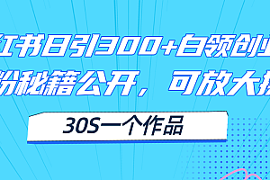 【第11060期】小红书日引300+高质白领创业粉,可放大操作,爆粉秘籍