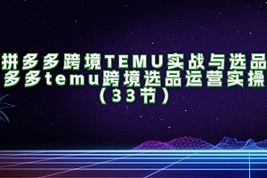 【第11194期】拼多多跨境TEMU实战与选品,多多temu跨境选品运营实操