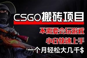 【第11414期】CSGO 装备搬砖项目,操作简单,不需要会玩游戏,小白也能快速上手