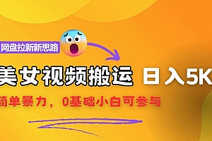 【第11319期】【新思路】视频搬运+网盘拉新,靠搬运每日5000+