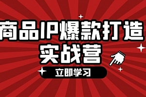 【第11303期】商品-IP爆款打造实战营【第四期】手把手教你打造商品IP,爆款不断