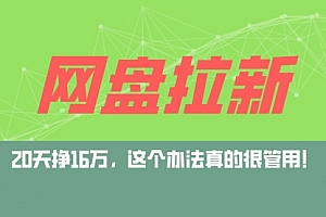 【第11397期】网盘拉新+私域运营玩法,零基础入门,小白可操作,当天见效,日入5000+