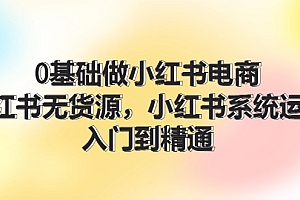 【第11201期】0基础做小红书电商,小红书无货源,小红书系统运营,入门到精通