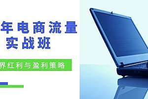 【第11325期】24年电商流量实战班:无界红利与盈利策略,终极提升