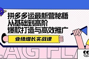 【第11385期】拼多多运最新营秘籍:业绩 增长实战课,从基础到高阶,爆款打造与高效推广