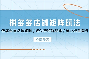 【第11625期】拼多多店铺矩阵玩法:低客单自然流矩阵 / 轻付费矩阵 动销 / 核心权重提升