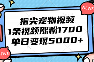 【第11532期】指尖宠物视频,1条视频涨粉1700,单日变现5000+