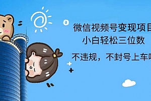 【第11589期】2024最新微信视频号,0撸项目,自己玩,小白轻松日入三位数