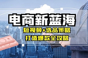 【第11600期】商家必看电商新蓝海:短视频+选品策略,打造爆款全攻略,月入10w+