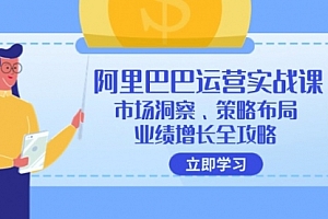 【第11448期】阿里巴巴运营实战课:市场洞察、策略布局、业绩增长全攻略