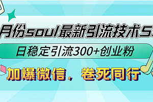 【第11638期】9月份soul最新引流技术5.0,日稳定引流300+创业粉