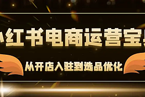 【第11503期】小红书电商运营宝典:从开店入驻到选品优化,一站式解决你的电商难题