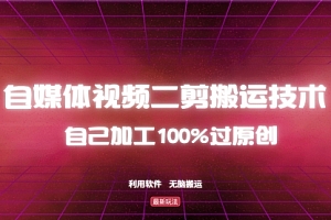 【第11748期】详细教你自媒体视频二剪搬运技术,自己加工100%过原创,无脑搬运