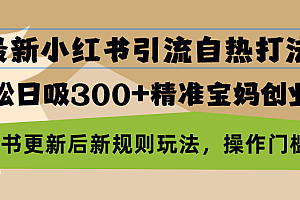 【第11809期】最新小红书引流自热打法,轻松日吸300+精准宝妈创业粉