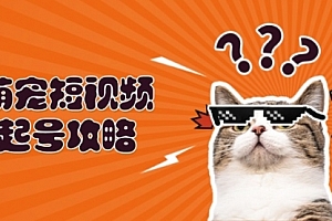 【第11813期】萌宠-短视频起号攻略:定位搭建推流全解析,助力新手轻松打造爆款
