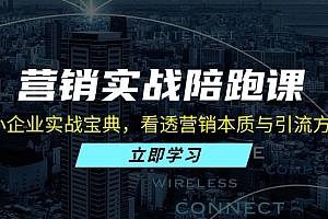 【第11818期】营销实战陪跑课:中小企业实战宝典,看透营销本质与引流方法论