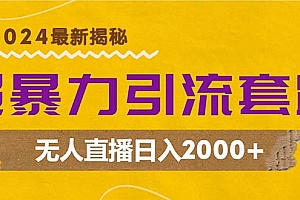 【第11645期】超暴力引流套路,无人直播日入2000+