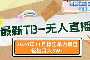 【第11861期】最新TB-无人直播 11月最新,打造你的日不落直播间
