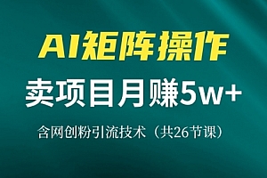 【第11917期】价值8899网创IP打造课,借助AI卖项目月赚5万+,含引流技术(共26节课)