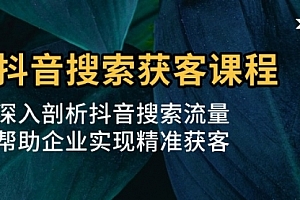 【第12002期】抖音搜索获客课程:深入剖析抖音搜索流量,帮助企业实现精准获客