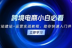 【第12023期】跨境电商小白必看!独立站建站+运营实战教程
