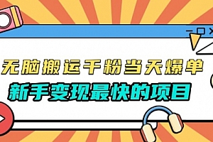 【第12034期】无脑搬运千粉当天必爆,免费带模板