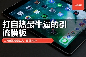 【第12107期】打自热最牛逼的引流模板,二剪搬运嗖嗖上人,日引300+