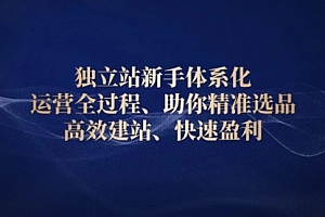 【第12265期】独立站新手体系化 运营全过程,助你精准选品、高效建站、快速盈利