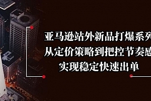 【第12325期】亚马逊站外新品打爆系列,从定价策略到把控节奏感,实现稳定快速出单