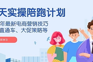 【第12349期】淘天实操陪跑计划,2024年最新电商营销技巧,包括直通车、大促策略等