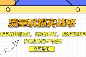 【第12350期】流量引爆实战班,涵盖情绪触点,剪辑技巧,投放逻辑等,打造女性IP变现