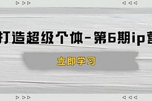 【第12355期】打造超级个体-第6期ip营:商业认知,产品设计,成交演练,解决知识变现难题