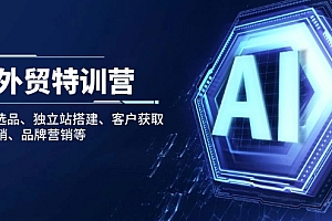 【第12454期】AI外贸特训营:AI快速选品、独立站搭建、客户获取、邮件营销、品牌营销等