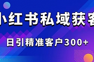 【第12483期】2025最新小红书平台引流获客截流自热玩法讲解,日引精准客户300+