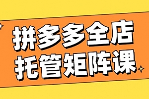 【第12502期】拼多多全店托管矩阵课,盈利动销玩法,高效计划设置,提升店铺效益