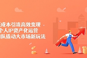 【第12616期】低成本引流高效变现,个人IP资产化运营,小团队撬动大市场新玩法