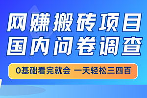 【第12621期】网赚搬砖项目,国内问卷调查,0基础看完就会 一天轻松三四百